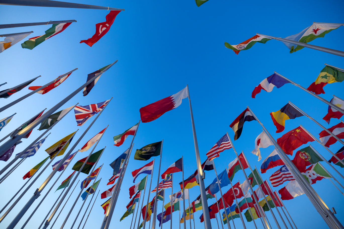 Fellow Flag Countires